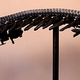 Illustration for article titled A Trilobite Made of Welded Steel and Time